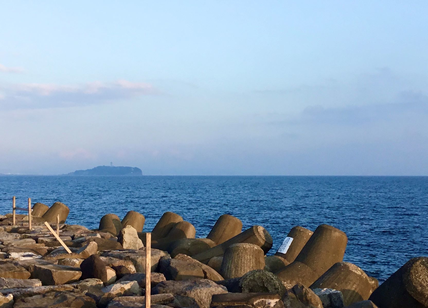 11月 の記録 湘南 釣り道 釣れんのか